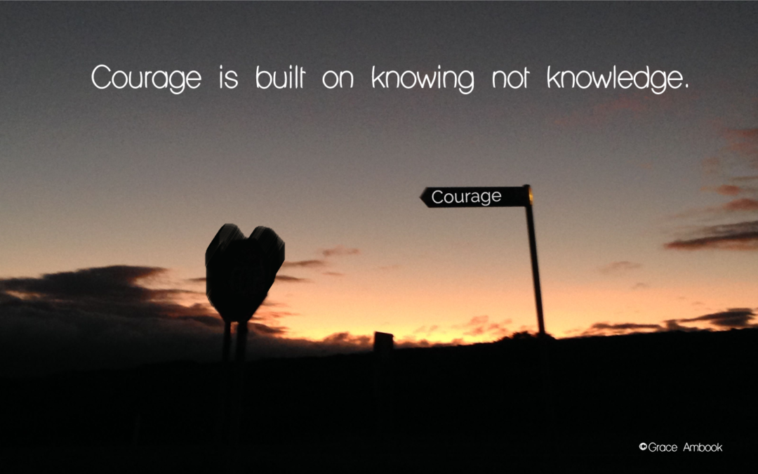 Courage is built on knowing not knowledge